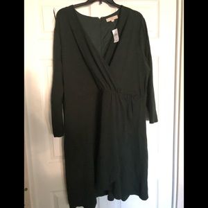 NWT Loft Dress